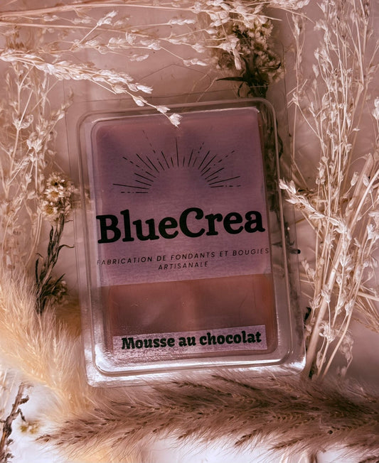 Plaquette de Fondants